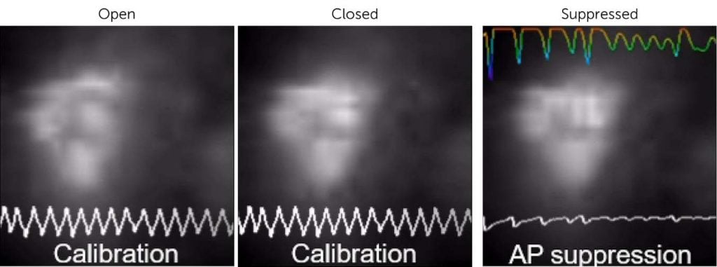 Optogenetic-Voltage-Clamp-Imaging-1024x381.jpg