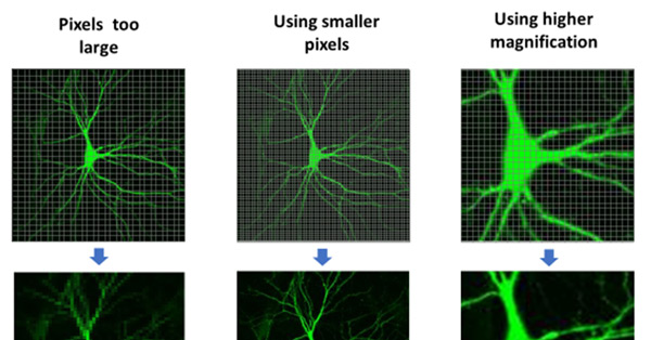 article primary image