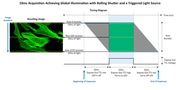 Rolling vs Global Shutter_images_5 (1).png