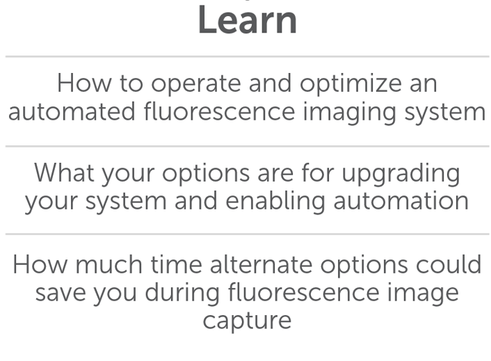 Simplifying Fluorescence Image Capture_image_5.png