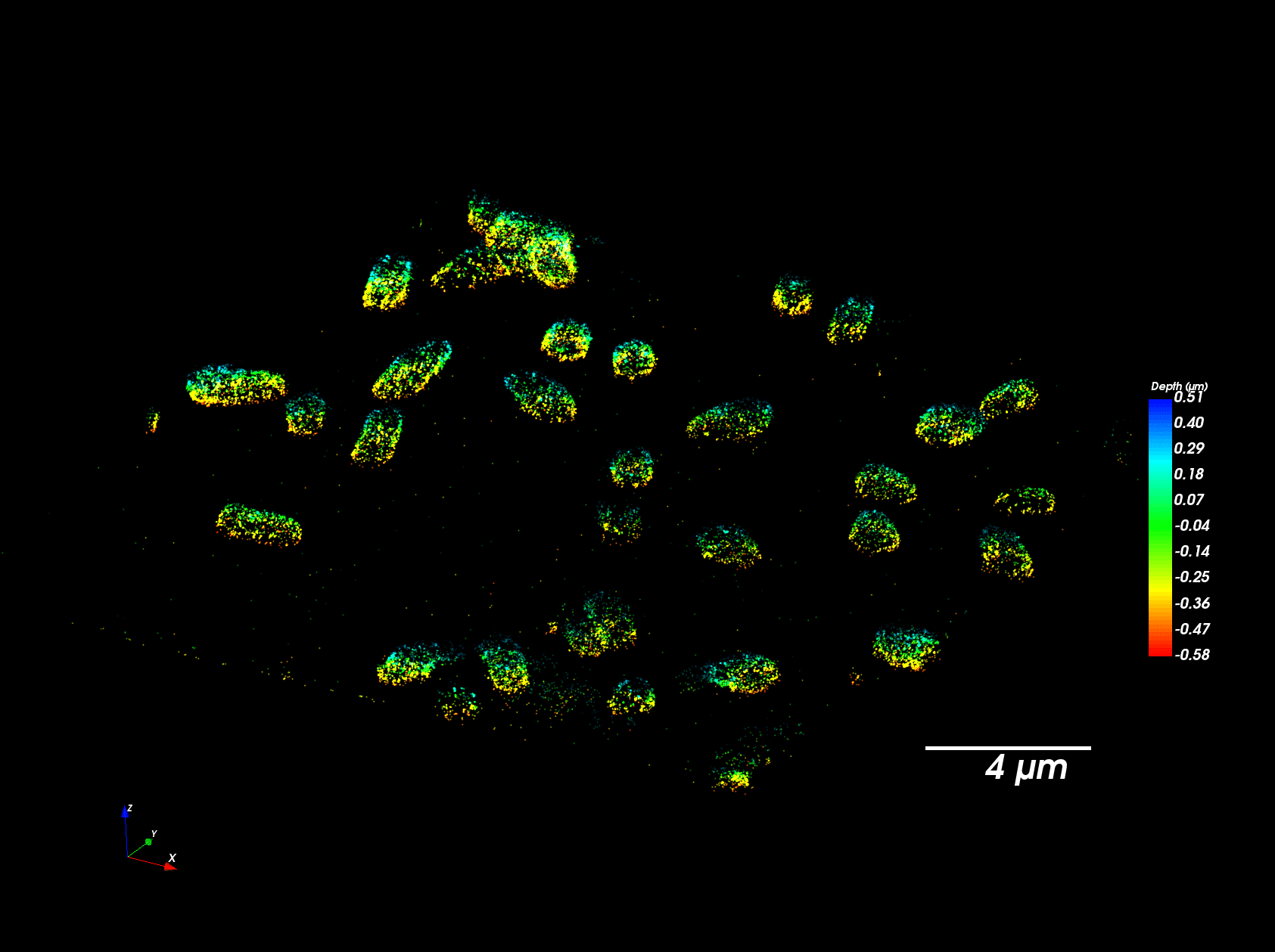 Simultaneous Multichannel SMLM image-1.png