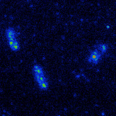 Single-Molecule-Biophysics-and-DNA-Mechanics-UniversityofYork.png