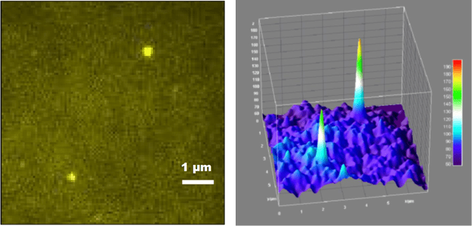 Single Molecule Detection.png