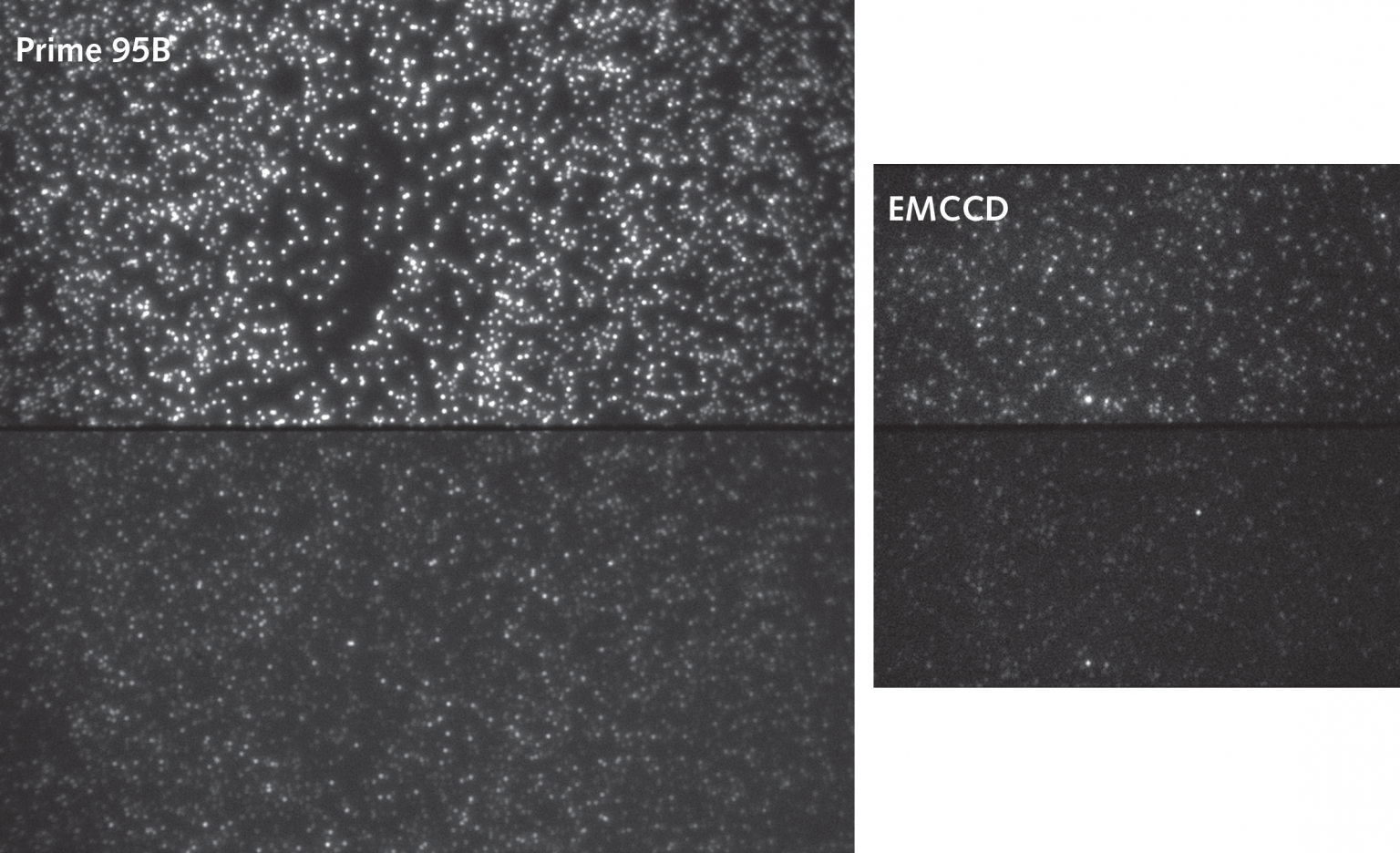 smfret-UCBerkeley-scmos-emccd-1536x936.png