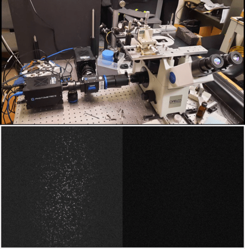 Single-Molecule FRET.png