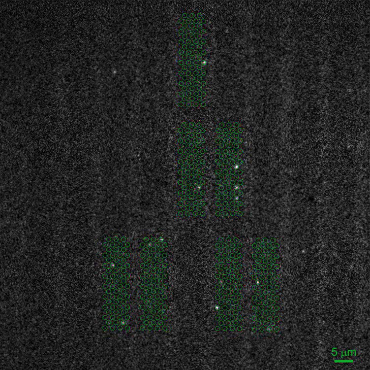 Single-Molecule-Fluorescence-Univ-of-Zurich.jpg