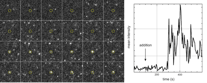 Single Molecule Spectroscopy_images-1.png