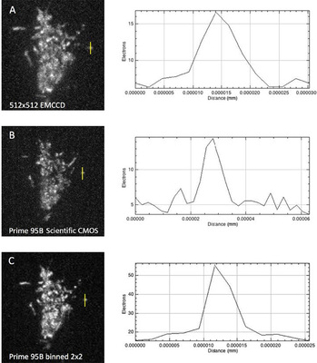 Single-Molecule-TIRF-Univ-Cambridge (1).jpg