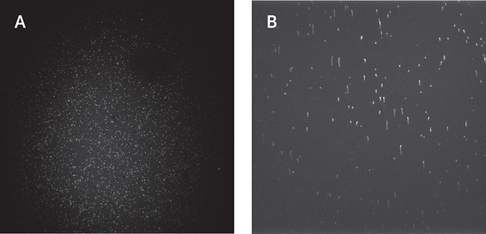 Single-Molecule-TIRF-Delft (1).jpg