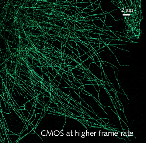 Super-Resolution Microscopy-image-1.png