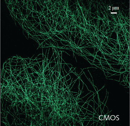 Super-Resolution Microscopy-image-2.png