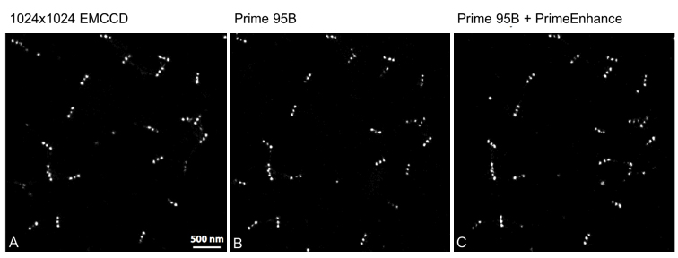 Super-Resolution Microscopy_images-1.jpg