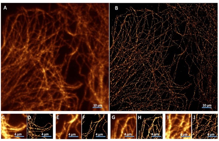 Customer-Ref-Super-Resolution-Microscopy-Indian-Institute.jpg