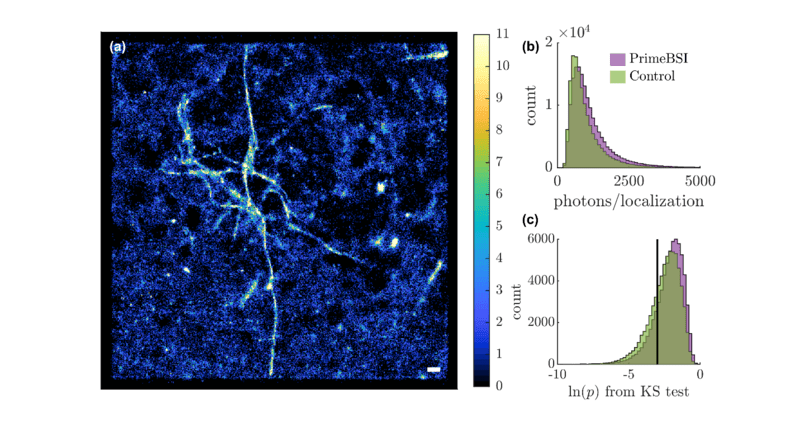 Super-Resolution Single Molecule Localization_images-1.png