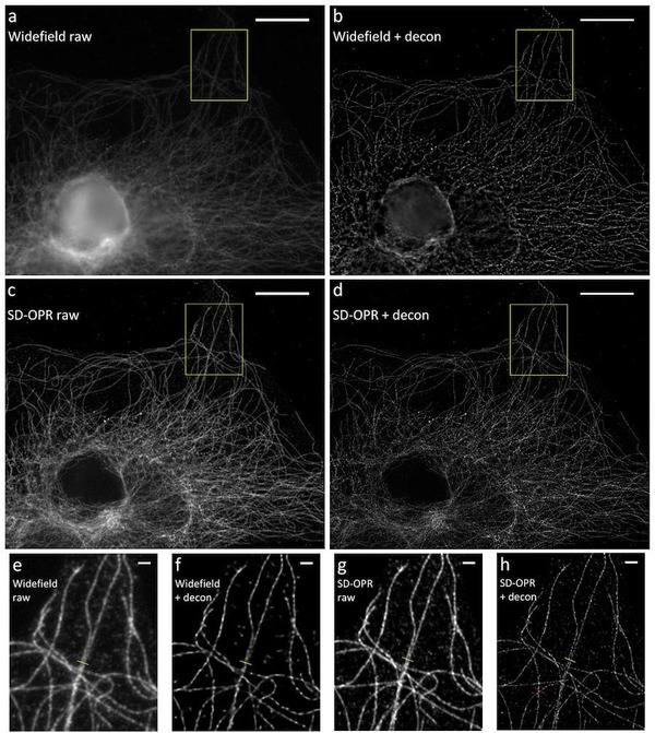 Example-images-from-SR-SDCM.jpg