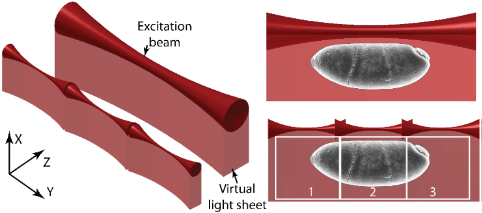 Tiling Light Sheet_images-2.png