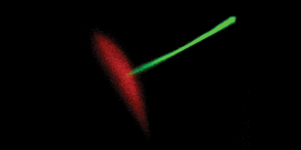 TIRF Microscopy-images-1.png