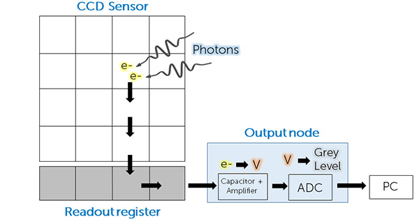 article primary image