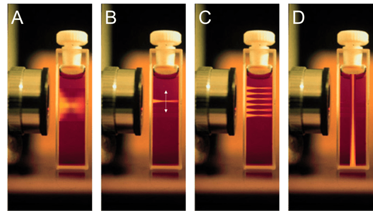 What Is Light Sheet Microscopy_images-1.png