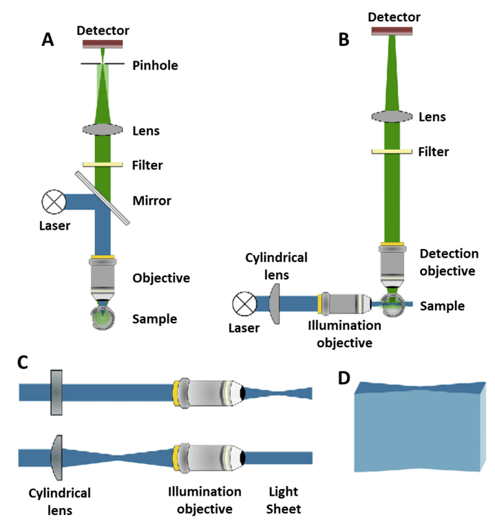 What Is Light Sheet Microscopy_images-2.png