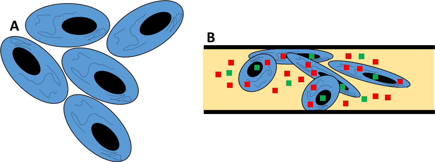 What Is Live Cell Imaging? | Teledyne Vision Solutions