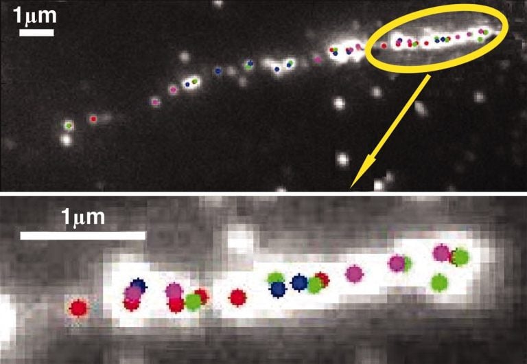 Single-molecule-DNA-mapping-1-768x530.jpg