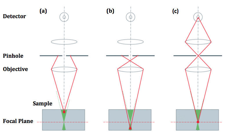 What-is-spinning-disk_1.png