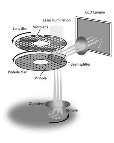 What-is-spinning-disk_3.png