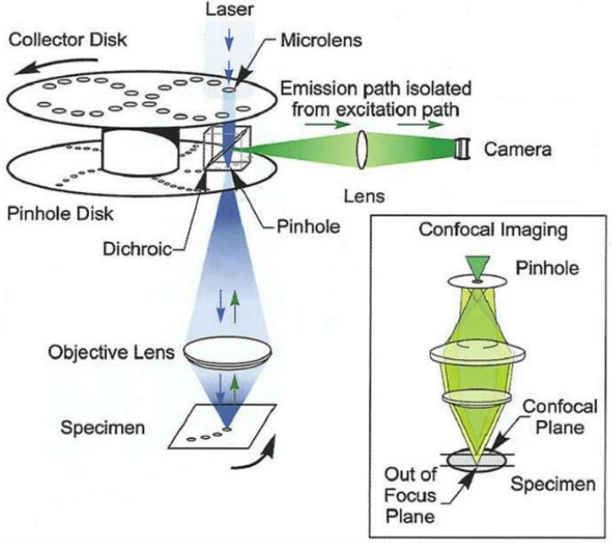 Yokogawa Spinning Disk_image_2.png