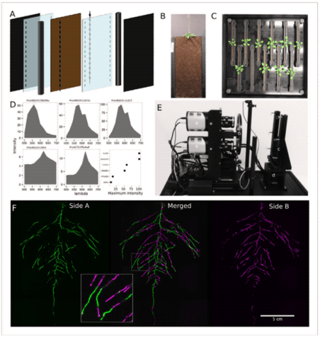 Characterization of Soil-Grown Root Systems_images-1.png