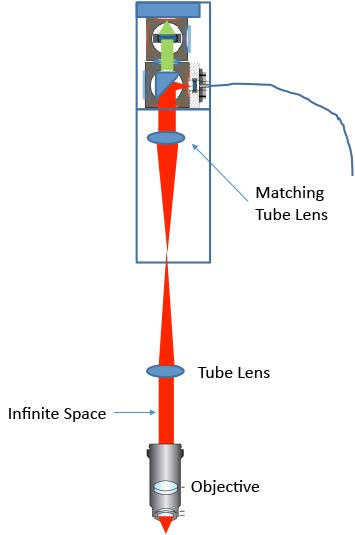 AppNote_ConfocalRamanMicroscopyBioTissues-1-3.png