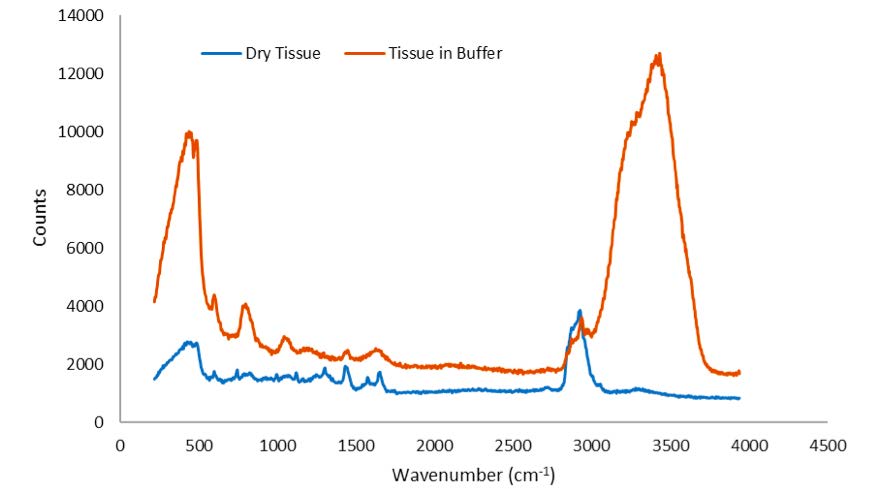 AppNote_ConfocalRamanMicroscopyBioTissues-12.png
