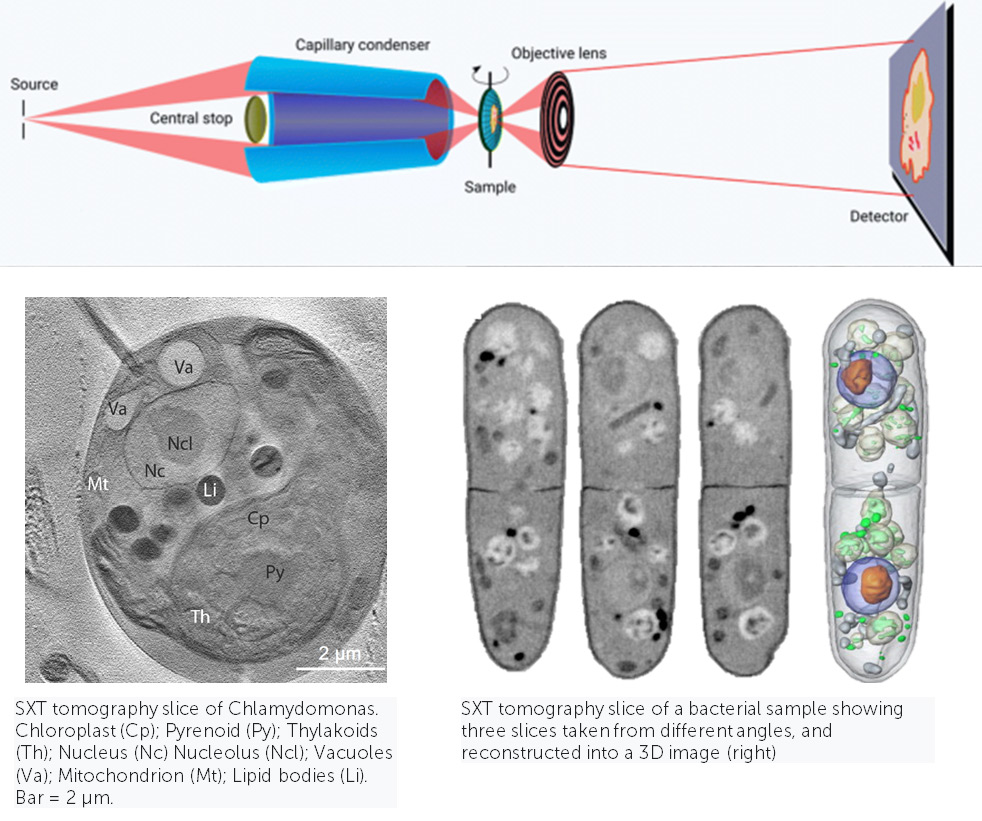 x-ray-microscopy-2.jpg