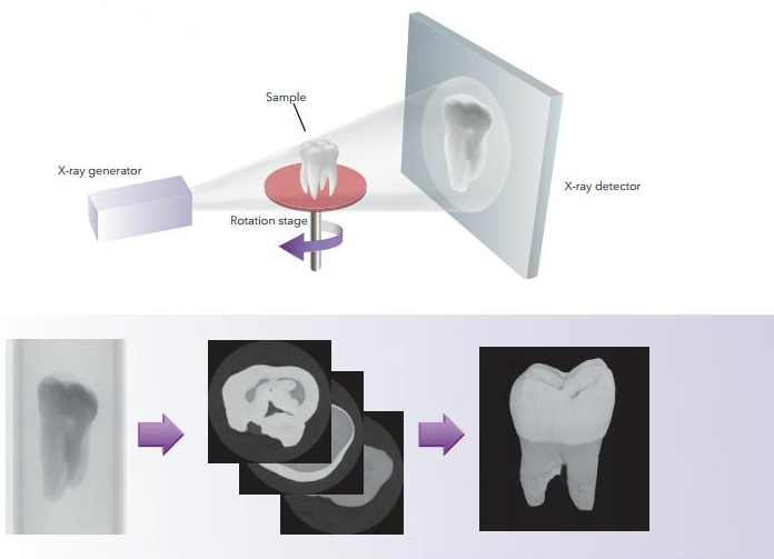 x-ray-microscopy-4.png