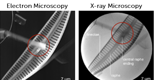 article primary image