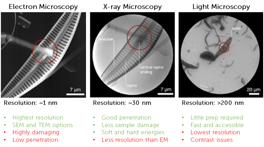 x-ray-microscopy.png