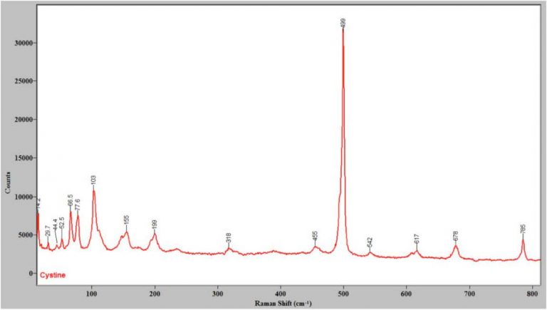 AppNote_RamanSpectraofAminoAcidsSecondFingerprintRegion-3-768x435.jpg