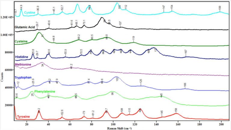 AppNote_RamanSpectraofAminoAcidsSecondFingerprintRegion-4-768x433.jpg