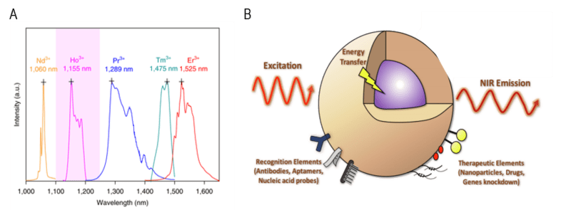 NIR-II Probes for In vivo Imaging-images-6.png