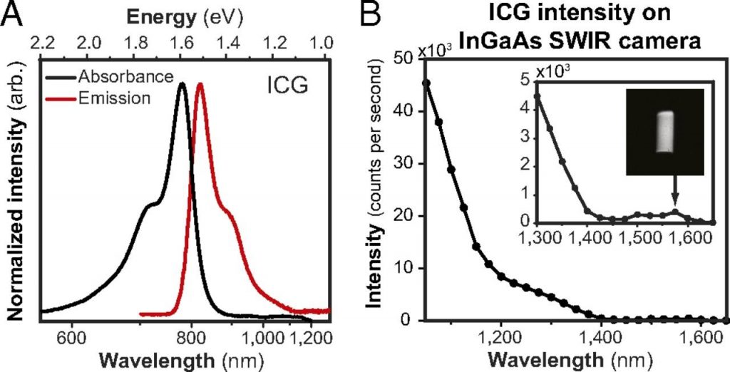 NIR-II Probes for In vivo Imaging-images-7.jpg