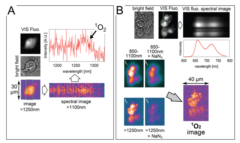 1O2-figure-3-nir-based-images.png