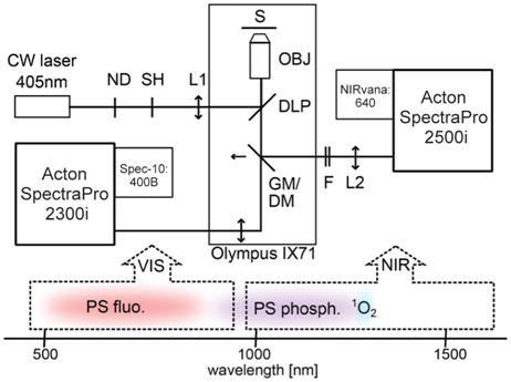 singlet-ox-exper-setup-diagram.png