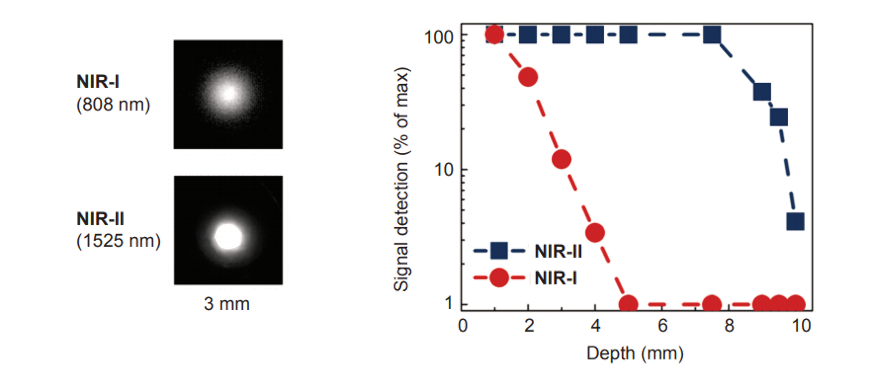 Scientific InGaAs Cameras For NIR-II Imaging-images-2.png