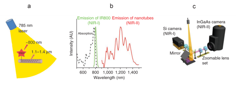 Scientific InGaAs Cameras For NIR-II Imaging-images-4.png