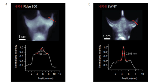 Scientific InGaAs Cameras For NIR-II Imaging-images-5.png