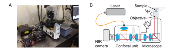 SDCLM-NIR-II-set-up.png