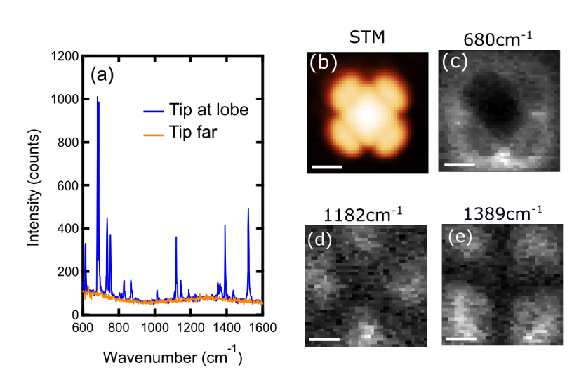 TERS Imaging Resolves Individual Molecular Vibrational Modes-images-1.png