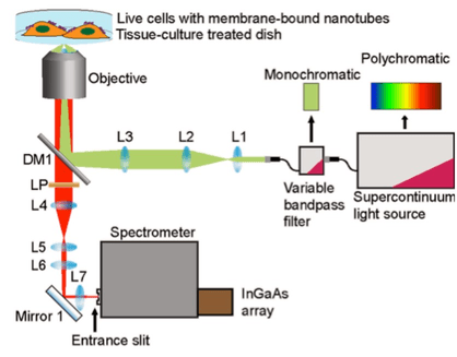 The-Development-of-Carbon-Nanotube-Optical-Sensors-for-Early-Disease-Detection_image_1.png