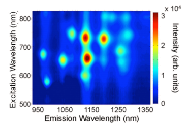 The Development of Carbon Nanotube Optical Sensors for Early Disease Detection_image_4.png