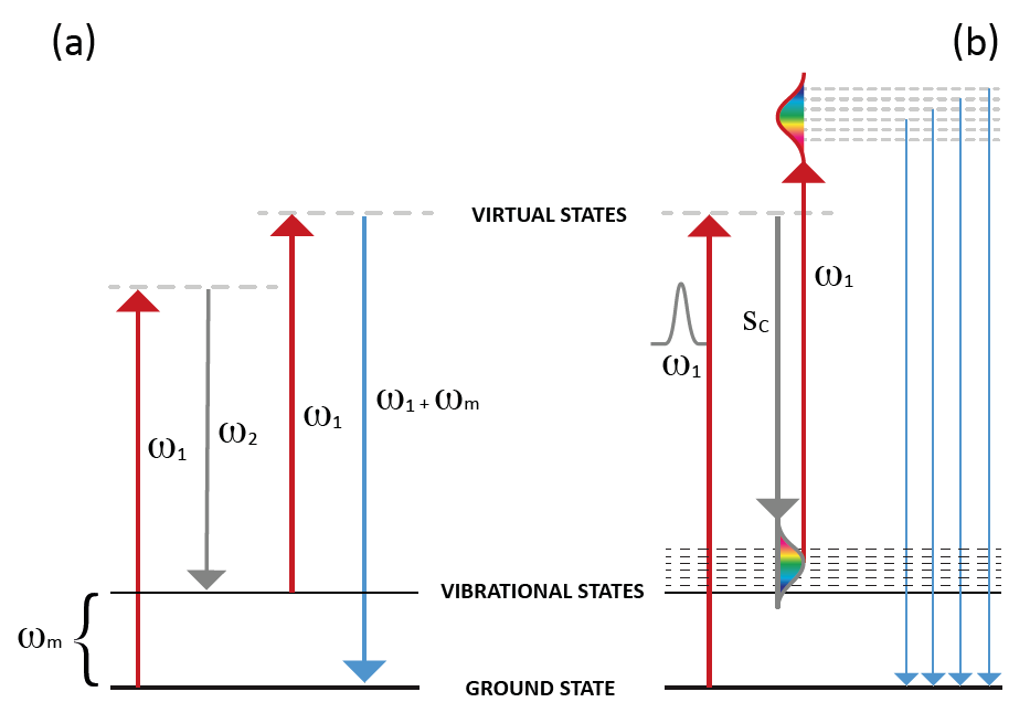 Ultra-Multiplex CARS Spectroscopic-images-1.png